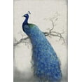 thumbnail image 2 of OToole, Tim 17x24 White Modern Wood Framed Museum Art Print Titled - Peacock Blue II, 2 of 4