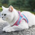 thumbnail image 2 of Soft Air Mesh Step In Dog Harness And Leash Set For Small Breed Puppy Adjustable Reflective No Pull Pet Vest, 2 of 5