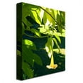 thumbnail image 3 of Trademark Fine Art "Singe Angel's Trumpet" Canvas Wall Art by Amy Vangsgard, 3 of 3