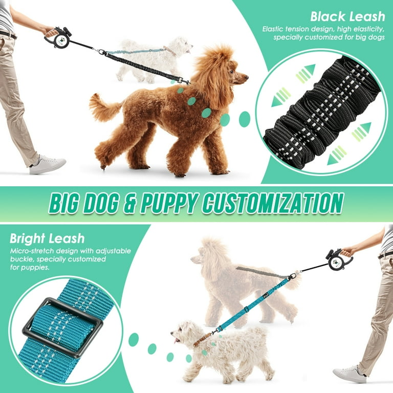 Double leash for big dogs 2025