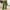 Army Green, variant on Clearance Deals Gnurob Wide Leg Pants for Ladies Elastic Waist Trousers Dot Print Slacks High Waisted Palazzo Straight Lounge Pant Womens Comfortable Loungewear Yoga Clothes，Army Green，Medium