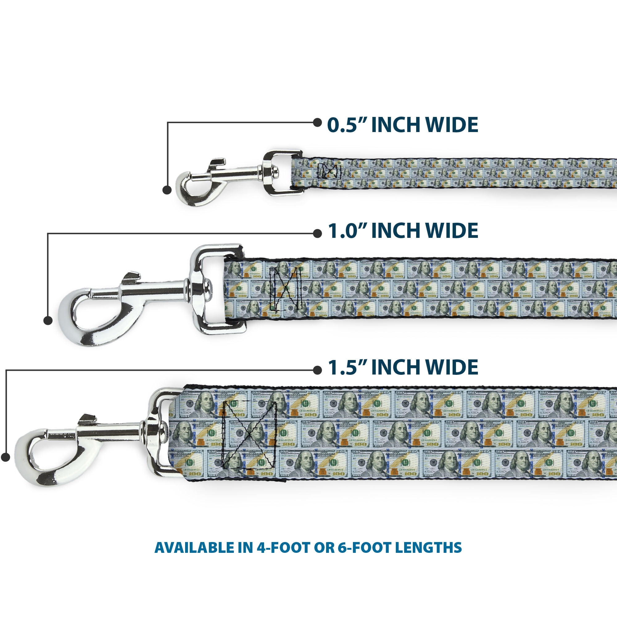 Buckle-Down Pet Leash, Dog Leash, 100 Dollar Bill Series 2009 Repeat, 6 Feet Long 1.0 Inch Wide