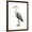 Brown Frame, variant on Art.com Sea Bird I Art Print by Grace Popp, 12" x 16"
