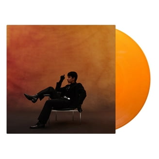 t*t様 Frank Ocean blonde レコード オフィシャル 2LP Frank Ocean