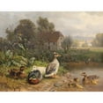 thumbnail image 3 of Carl Jutz 24x20 Black Modern Framed Museum Art Print Titled - Ducks on the Pond, 3 of 5