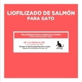 thumbnail image 4 of Premio para Gato Pearl's Pure Nutrition Liofilizado de Salmón 85 g, 4 of 4