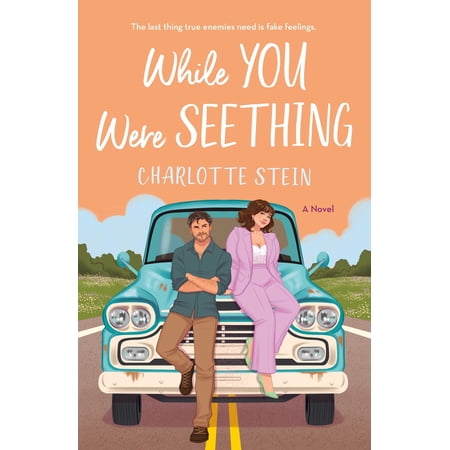 While You Were Seething (Paperback)