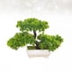 thumbnail image 2 of EeaseMX Plantas simuladas: Pino de saludo de 3 tenedores, planta de plástico en maceta, adornos pequeños (verde), 2 of 8