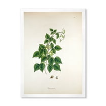 Designart 'Ancient London Plants VIII' Farmhouse Framed Art Print