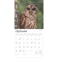 thumbnail image 4 of Owls | 2025 12x24" (Hanging) Wall Calendar | Plastic-Free | BrownTrout, 4 of 9