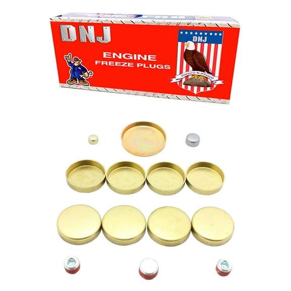 DNJ FPS3125 Expansion Plug Kit Fits Cars & Trucks 87-06 Chevrolet GMC Isuzu Oldsmobile 4.3L OHV 12V