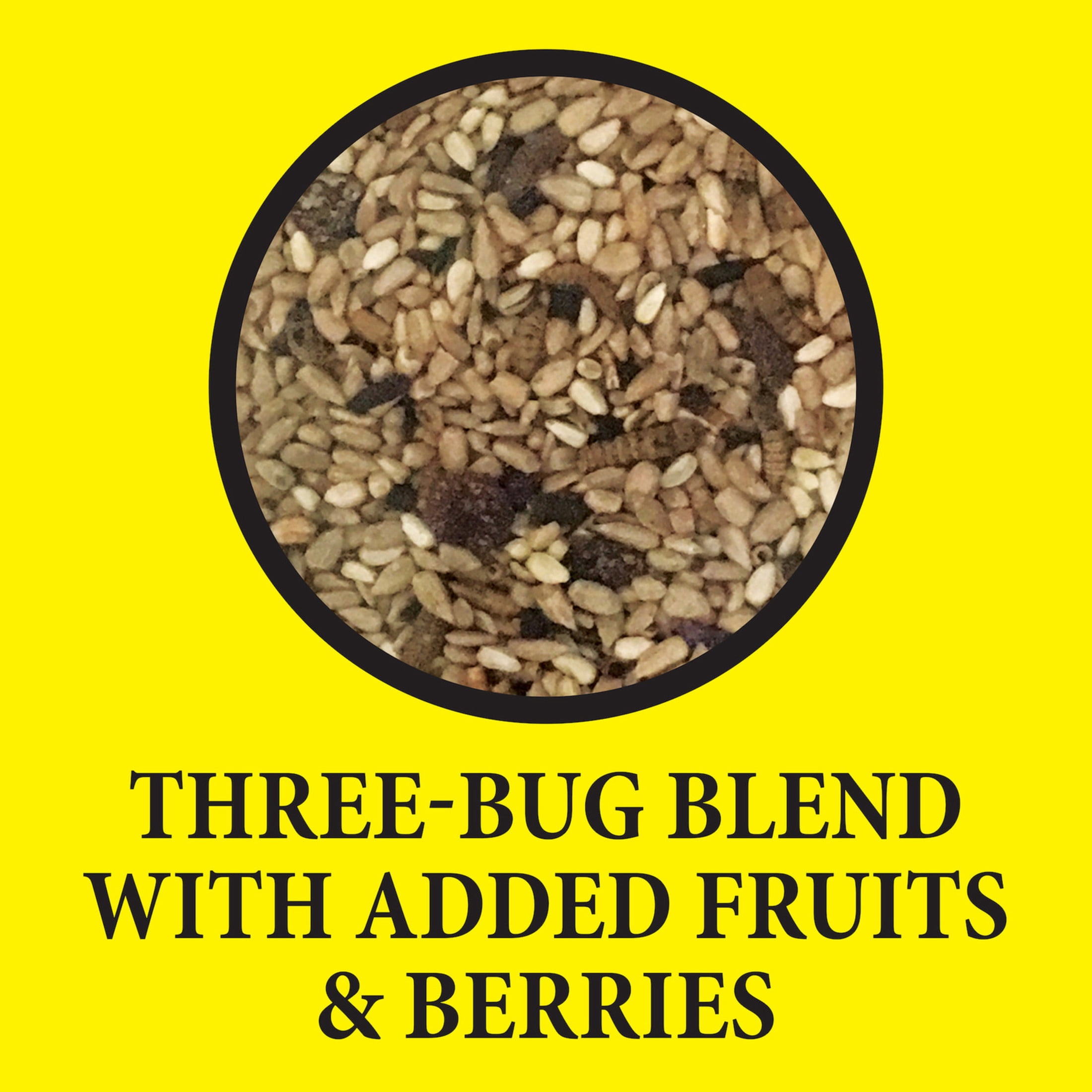 Wild Delight Advanced Formula Bugs N Berries Wild Bird Food 14 lb