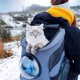 thumbnail image 4 of High Quality Lightweight Bubble Breathable Space Capsule Outdoor Bag Astronaut Carrier Cat Dog Pet Travel Backpack For Cat Dog ShopWise Round, 4 of 12