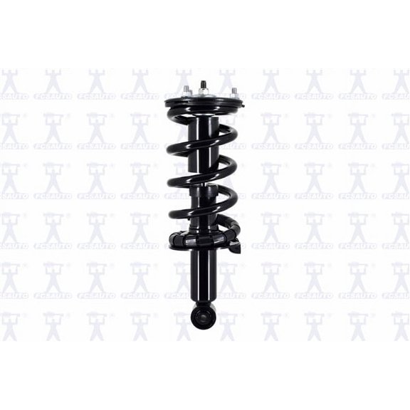 Suspension Strut and Coil Spring Assembly