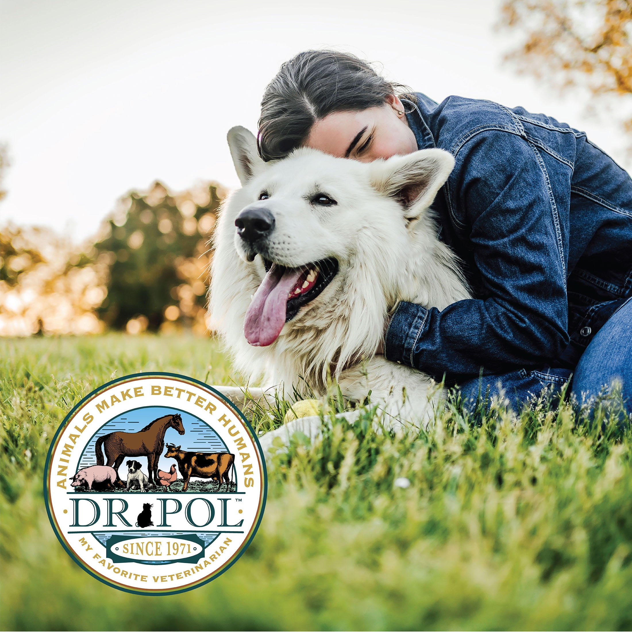 (3 pack) Dr. Pol Incredi-Pol Favorites Beef and Brown Rice Recipe Dog Food, 24lb