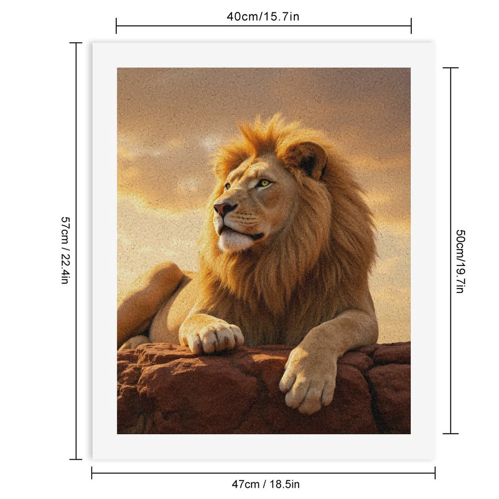 Paint by Numbers Kit for Adults, Majestic Lion Sunset Rock Paint by Numbers, Easy Paint by Numbers Kit for Adults Beginner, DIY Adult Paint by Number Kits on Canvas, 12x16in Home Decor