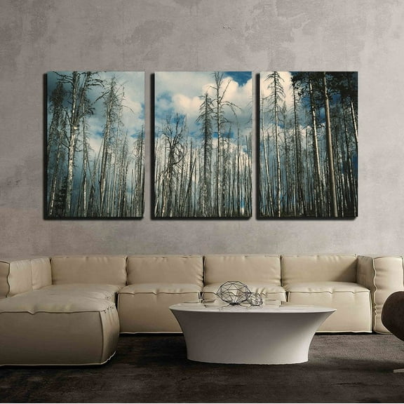 wall26 - 3 Piece Canvas Wall Art - Landscape with Aspen Trees in Fair Weather - Modern Home Art Stretched and Framed Ready to Hang - 16"x24"x3 Panels