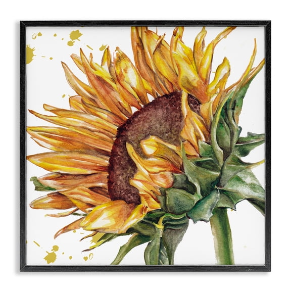 Stupell Industries French Country Sunflower with Modern Splash Black Framed Giclee Art, 12 x 12, by Studio 731 rep. Levison Designs