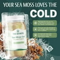 thumbnail image 4 of TrueSeaMoss Wildcrafted Irish Sea Moss Gel – Original, 2 Pack, Natural Seamoss – 32 fl oz Flavored Seaweed Snack, 4 of 9