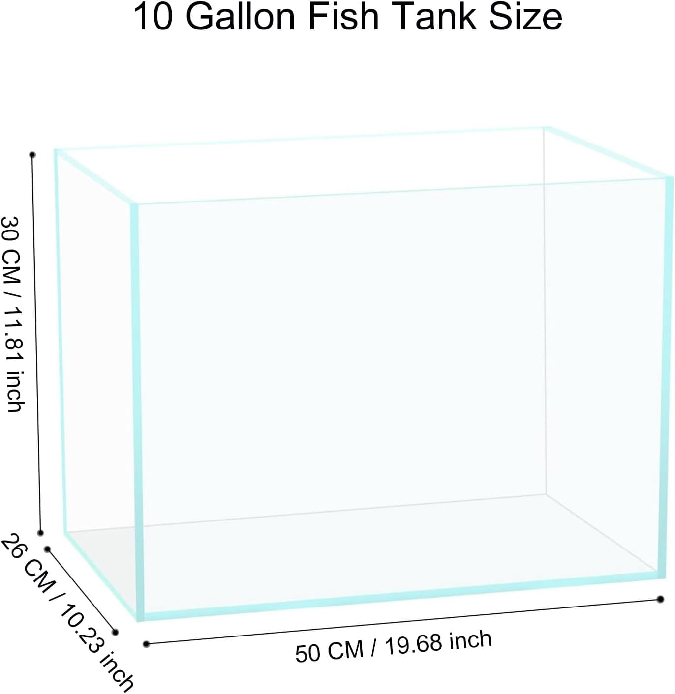 3 Gallon Glass Fish Tank, Easy to Maintain Small Aquarium for Betta/Goldfish/Snails/Shrimp and Aquatic Planting.