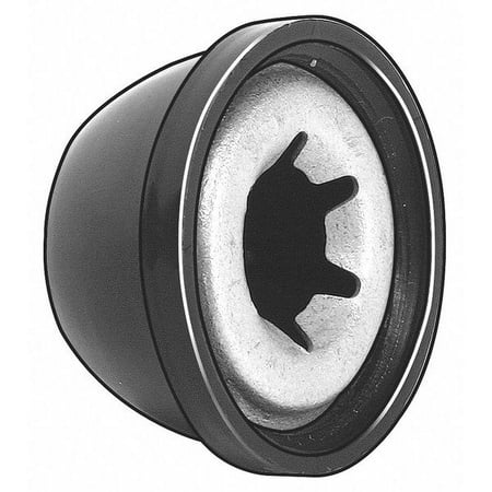 

ZoroSelect 3/8 Steel & Plastic Cap Nuts 25 pk.
