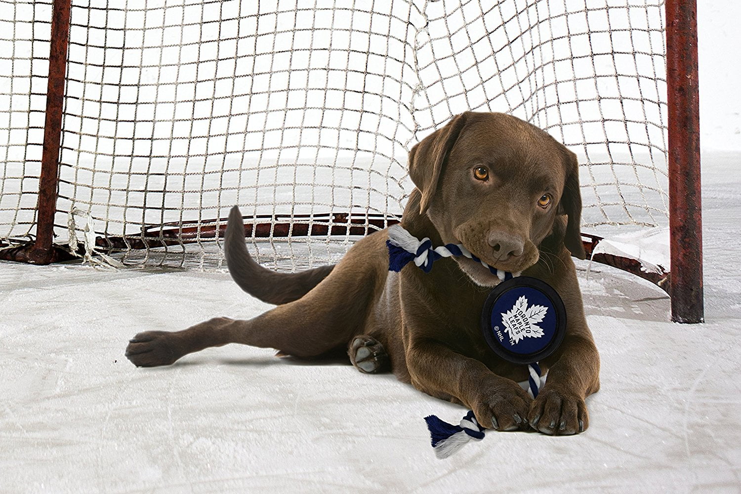 Pets First NHL Toronto Maple Leafs Hockey Puck Toy - Heavy-Duty Durable Rubber Dog Toy