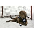 thumbnail image 2 of Pets First NHL Toronto Maple Leafs Hockey Puck Toy - Heavy-Duty Durable Rubber Dog Toy, 2 of 4