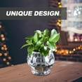 thumbnail image 2 of SEWACC Plastic Fish Bowls Transparent Decorative Item for Fish Lovers at Home 1Pcs, 2 of 8
