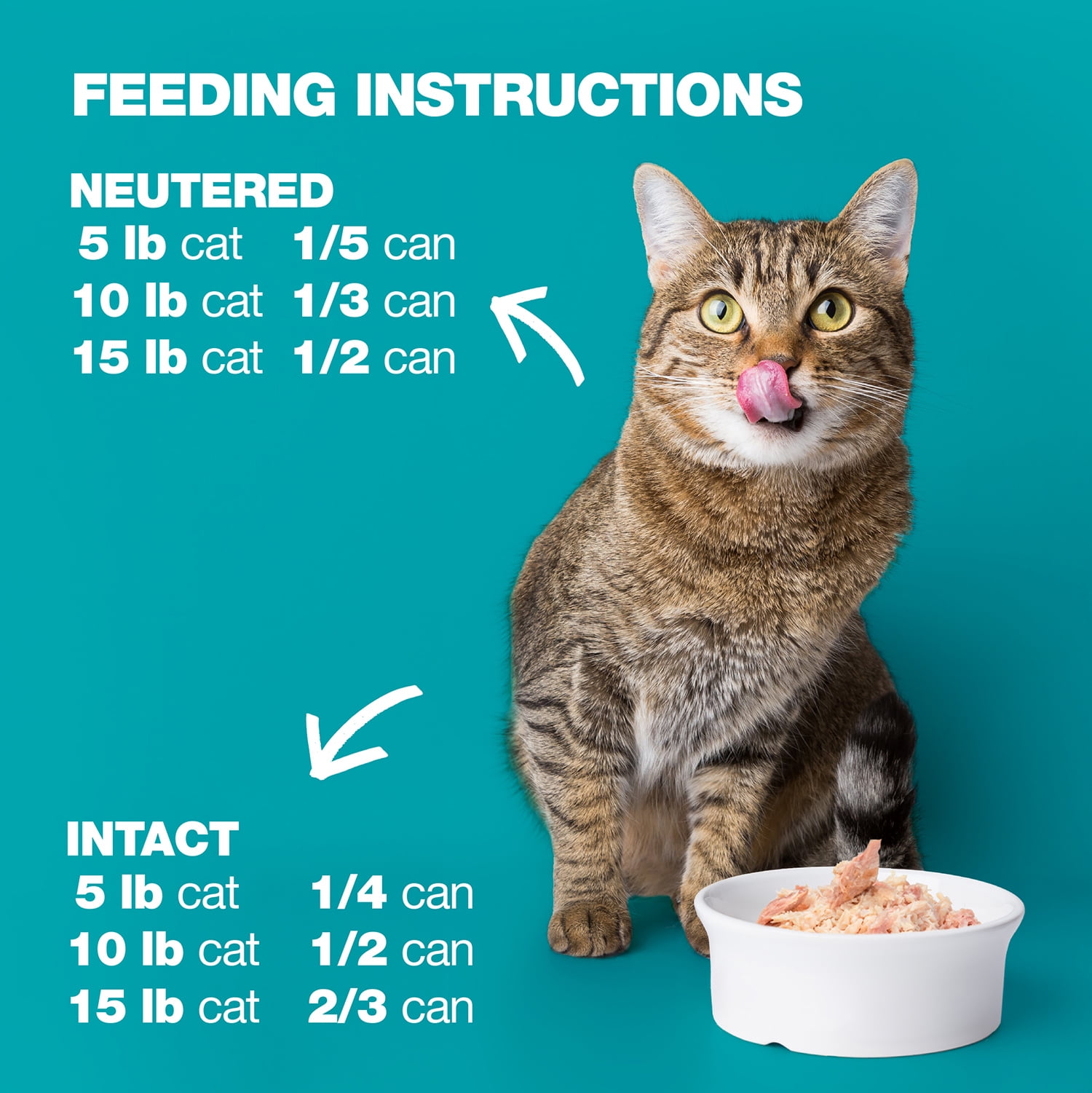 Natural Code - Wet Cat Food, Limited Ingredient Cat Food, High-Protein, Non-GMO, No Artificial Additives, Made In Italy, Tuna and Cheese in Broth for Adult Cats (3 oz, 24 Pack)