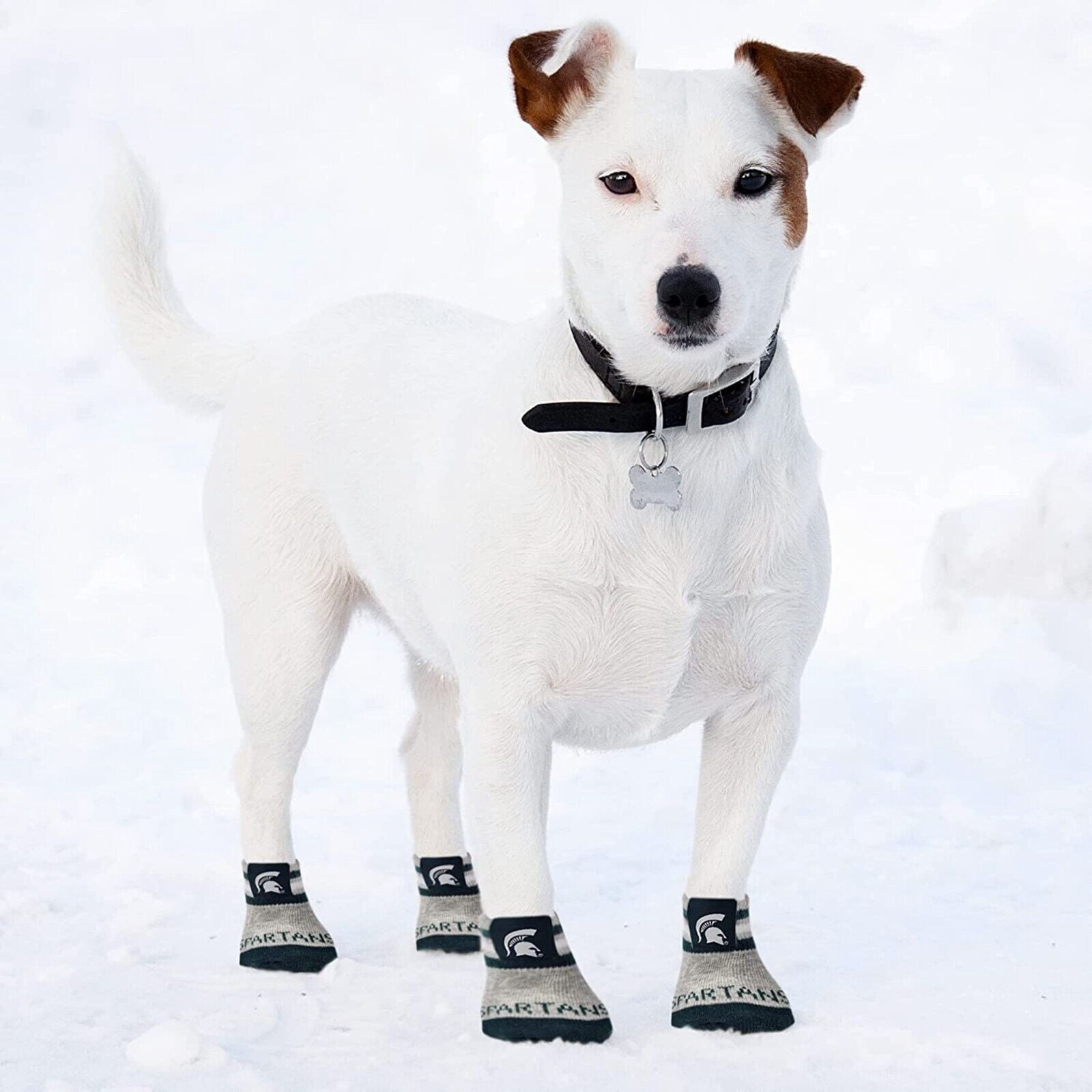 NCAA Anti Slip Dog Socks with Elastic Ribbed Top Indoor/Outdoor Paw Protection