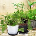 thumbnail image 4 of Flower Pot Tray 16 Pcs Plants Water Catcher Thicken Black Circle Indoor Saucer Pp, 4 of 6