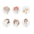 thumbnail image 3 of Set Of 12 Wooden Handle Makeup Brushes, Holiday Collection Concealer Eyeshadow Blush Highlighter Loose Powder Brush Berry Berry Brush, 3 of 5