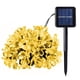 thumbnail image 1 of Dinheiro - Guirnalda de luces solares con forma de flores, varios LED para vallas de jardín, patio, césped, decoración de fiestas, 1 of 5