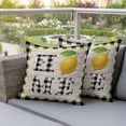 thumbnail image 3 of Summer Lemons HOME Outdoor Pillow Covers Pack of 2 Black White Buffalo Plaid Woog Grain Waterproof Throw Pillow Covers Decorative Cushion Cases for Patio Garden Tent Balcony Couch 18x18 inch, 3 of 9