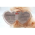 thumbnail image 6 of Ty Beanie Baby Tibby the Shih Tzu Dog Plush 2004, 6 of 6