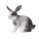 thumbnail image 3 of Fauna / Animales de granja s s Naturaleza y Sunnimix  Juguete de figura de animal, 3 of 8