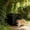 Black251, variant on Outdoor Cat House Waterproof Shelter,Portable Pet Tent Bed,Sun Shade Insulated Resting House,All Season Feral Cat Shelter for Porch Yard Patio Use