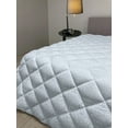 thumbnail image 2 of Floral Down Alternative Comforter, Contiguous Orderly Flower Pattern Symmetrical Spring Nature Art Print, Microfiber Quilt for All Season, 5 Sizes, Pale Pink and White, by Ambesonne, 2 of 3