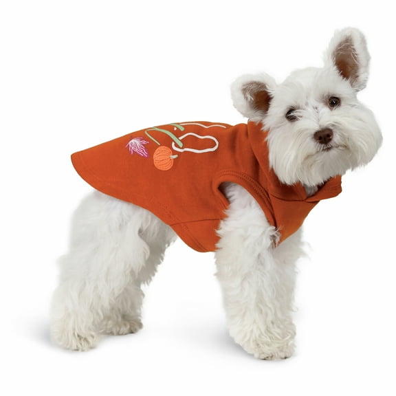 Vibrant Life Halloween Hoodie for Dogs & Cats, Hello Fall, Orange, Extra Small