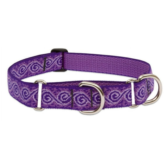 LupinePet Originals 1" Jelly Roll 19-27" Martingale Collar for Large Dogs