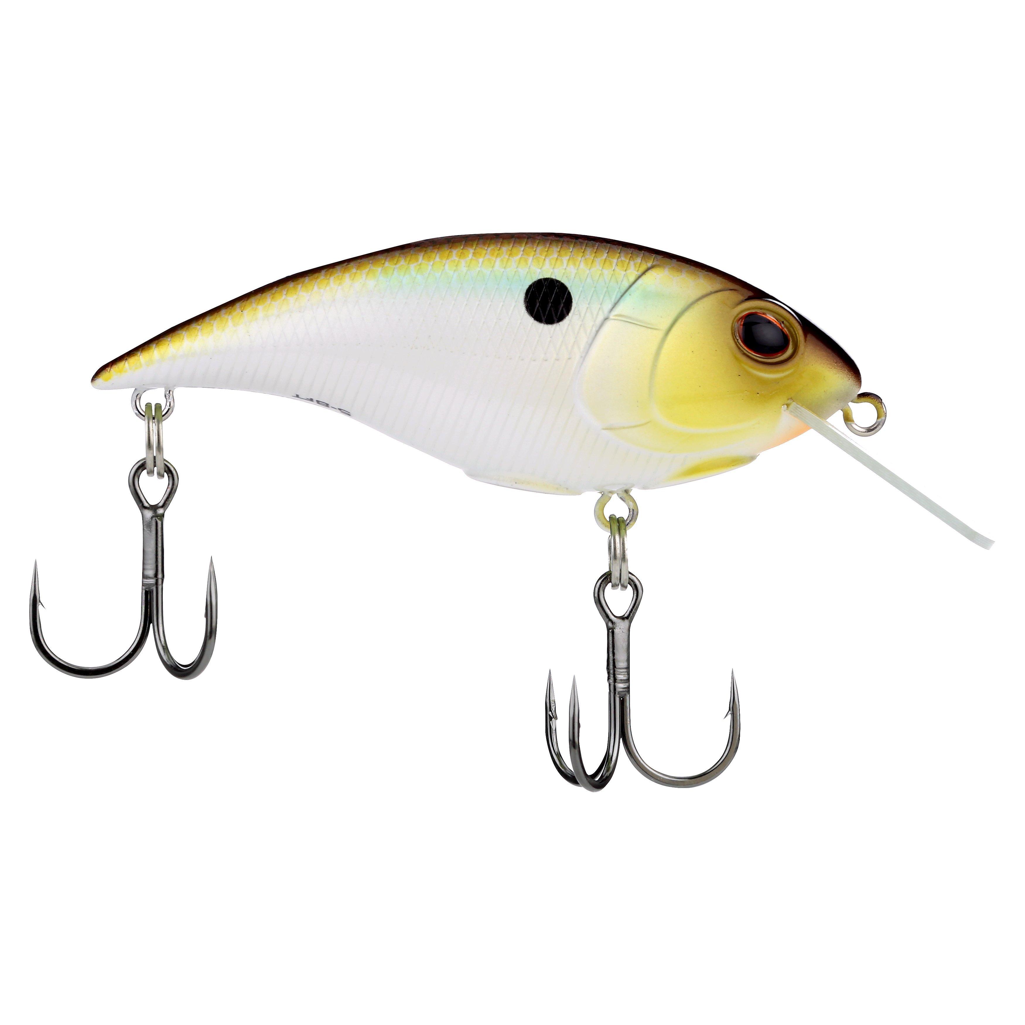 Shallow Money Badger Fishing Crankbait, 2.75 in, Tennessee Shad