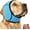 Blue, variant on Soft Adjustable Noise Canceling Dog Calming Ear Muffs Anti Shake Cover for Bath Grooming Thunder Fireworks Vacuum (Gray, L)