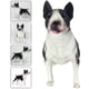 thumbnail image 3 of Bull Terrier Model Standing Dog Model Simulation Bull Terrier Dog Model Fake Puppy Model, 3 of 3
