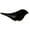 Black, variant on Modern LED Wall Sconces Bird Night Light Motion USB Rechargeable For Bedroom Hallway
