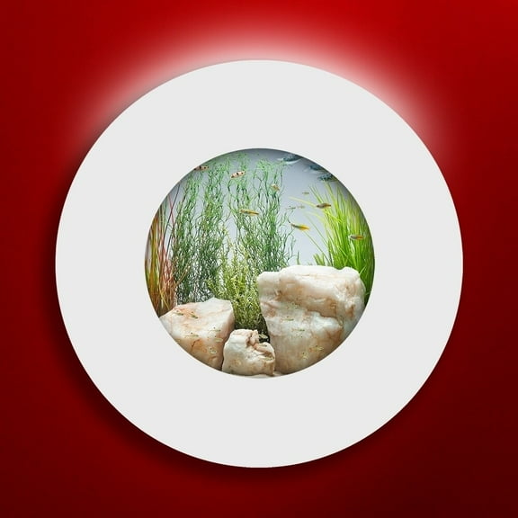 Aussie Aquariums 2.0 Wall Mounted Aquarium - Porthole Matte White