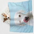 thumbnail image 6 of Naloa Puppy Licks Nose Dog Blanket, 3 Sizes Cat Blanket for Indoor Cats Large Medium Small Dog Gifts-Small, 6 of 8