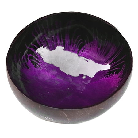 

xinst Key Storage Tray Coconut Bowl Shell Home Decoration Salad Container Handicraft