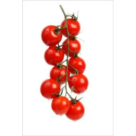 How to Grow Cherry Tomatoes - eBook (Best Cherry Tomatoes To Grow)