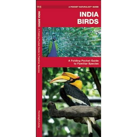 India Birds : A Folding Pocket Guide to Familiar (Best Speeches Of All Time In India)