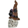 thumbnail image 4 of Northlight Skull in Witches Hat with Crow Halloween Decoration - 22.75", 4 of 8